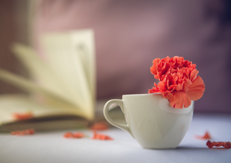 Khai niem aesthetic la gi