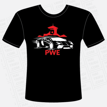 dong phuc pwe car passion passion without end