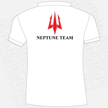 cong ty tnhh thuong mai ht neptune motor