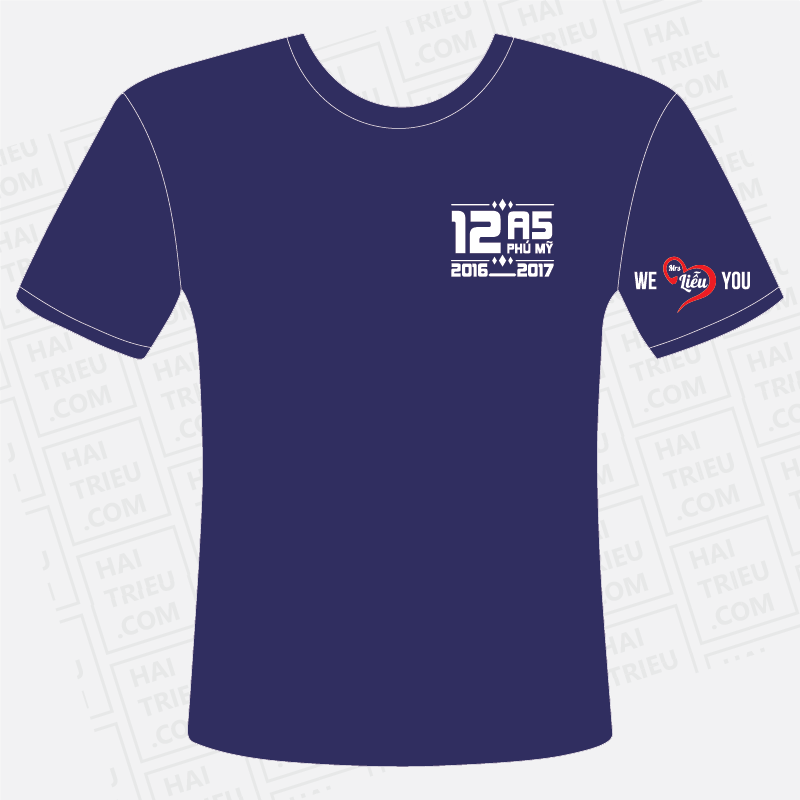 dong phuc lop 12a5 phu my 2016 2017
