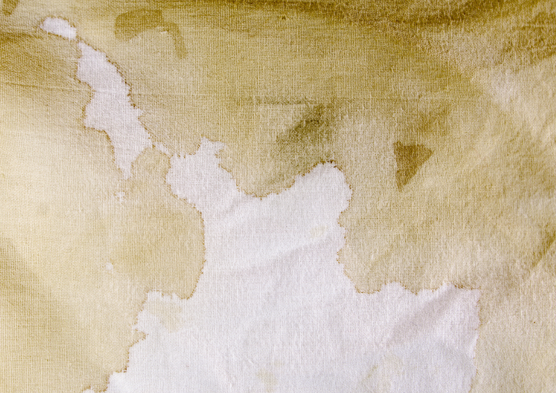 nguyen nhan quan ao bi o vang