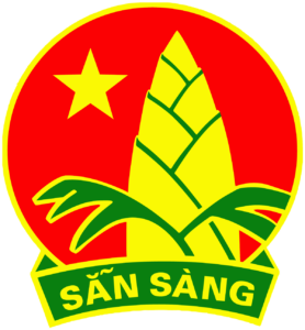 Logo Doi Thieu nien Tien phong Ho Chi Minh