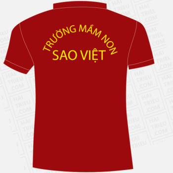 dong phuc vietstar preschool