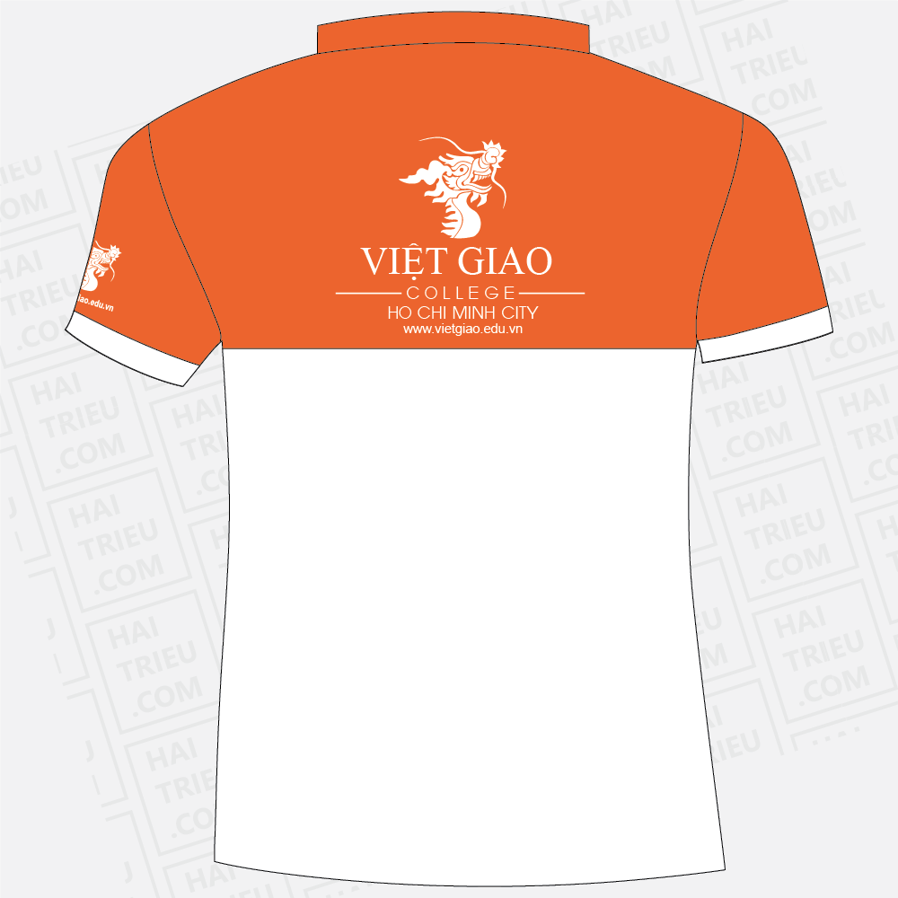 ao thun viet giao college