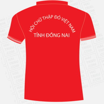dong phuc hoi CTD tinh dong nai