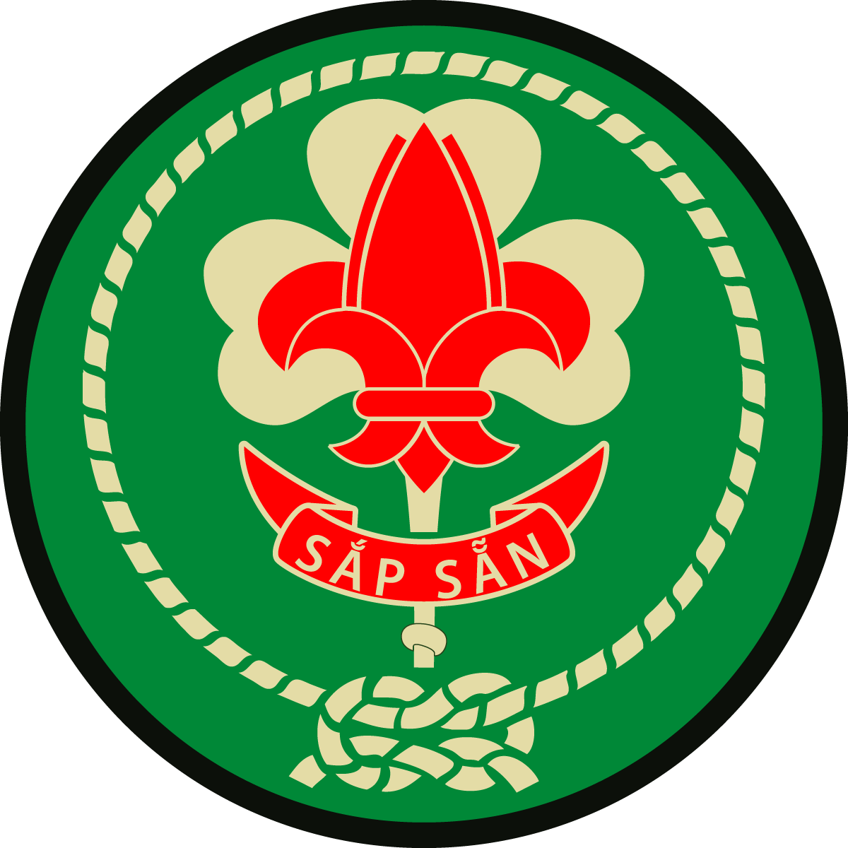 [Vector Logo] Hướng Đạo Việt Nam - Pathfinder Scouts Vietnam
