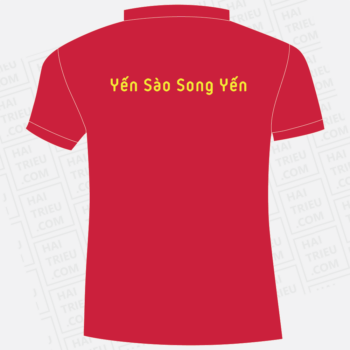 ao thun teambuilding 2021 song yen kết sức mạnh noi thanh cong
