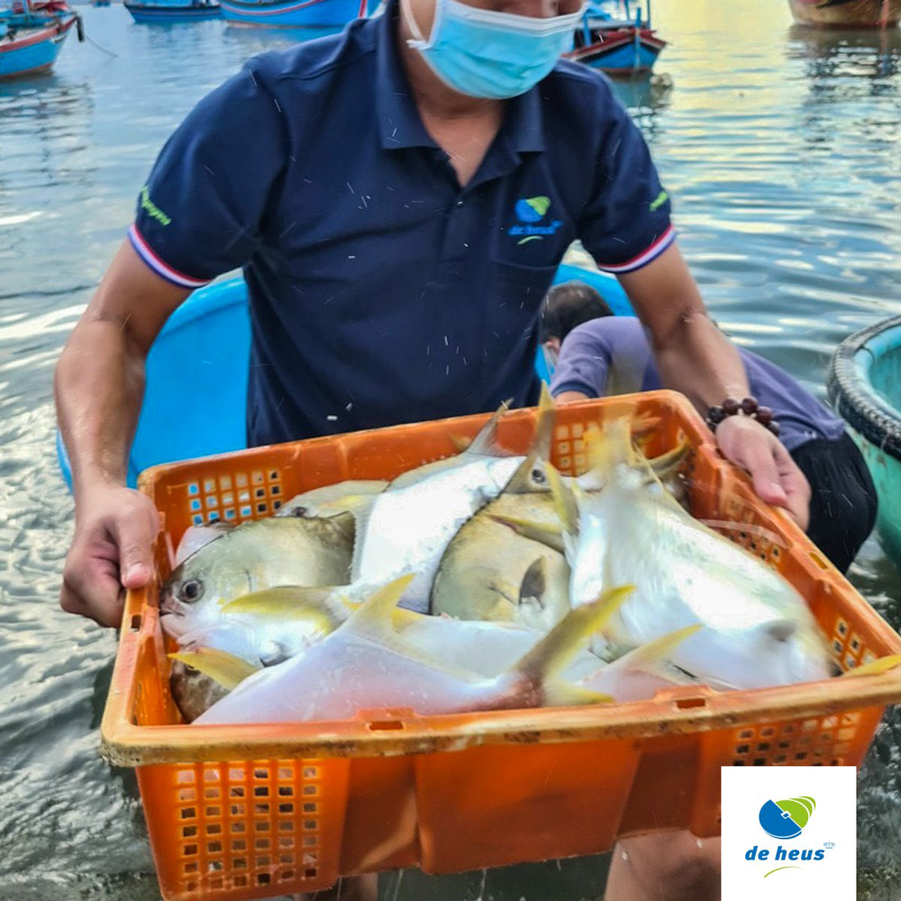 hinh anh dong phuc de heus vietnam