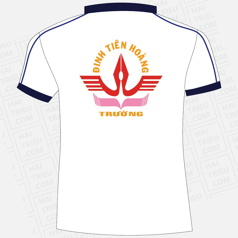 ao the duc truong th, thcs, thpt dinh tien hoang
