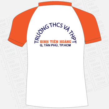 ao the duc truong thcs - thpt dinh tien hoang