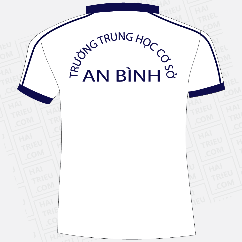 ao the duc an binh secondary school