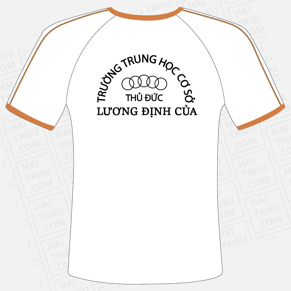 ao the duc thcs luong dinh cua