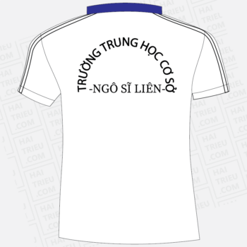 ao the duc thcs ngo si lien