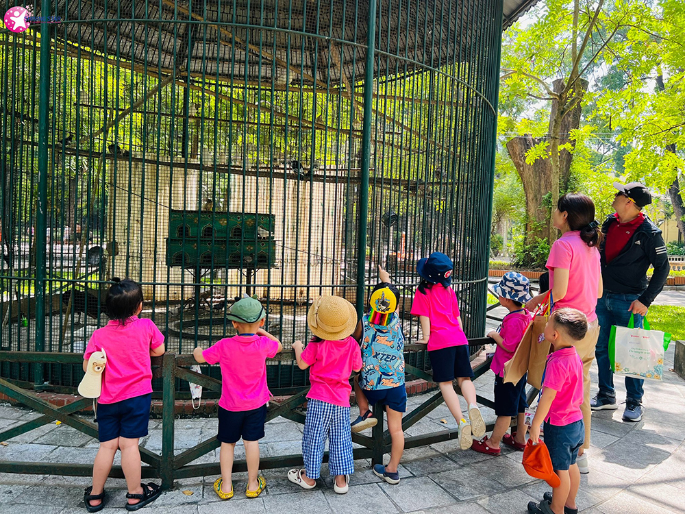 dong phuc giao vien shining star kindergaten