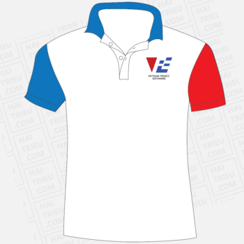 VFE - Vietnam France Exchange