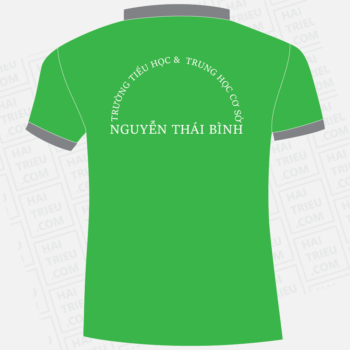 dong phuc truong th & thcs nguyen thai binh