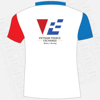 dong phuc vfe - vietnam france exchange