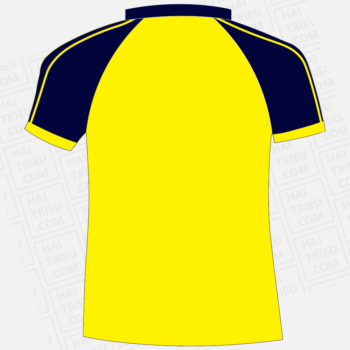 ao the duc truong thpt hoang hoa tham