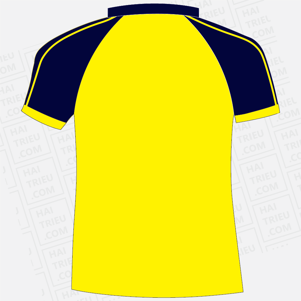 ao the duc truong thpt hoang hoa tham