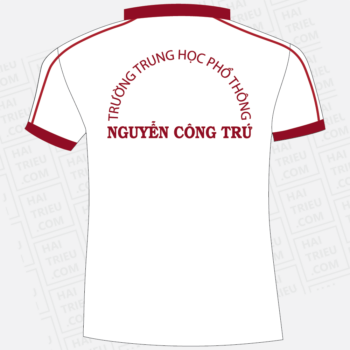 ao the duc truong thpt nguyen cong tru