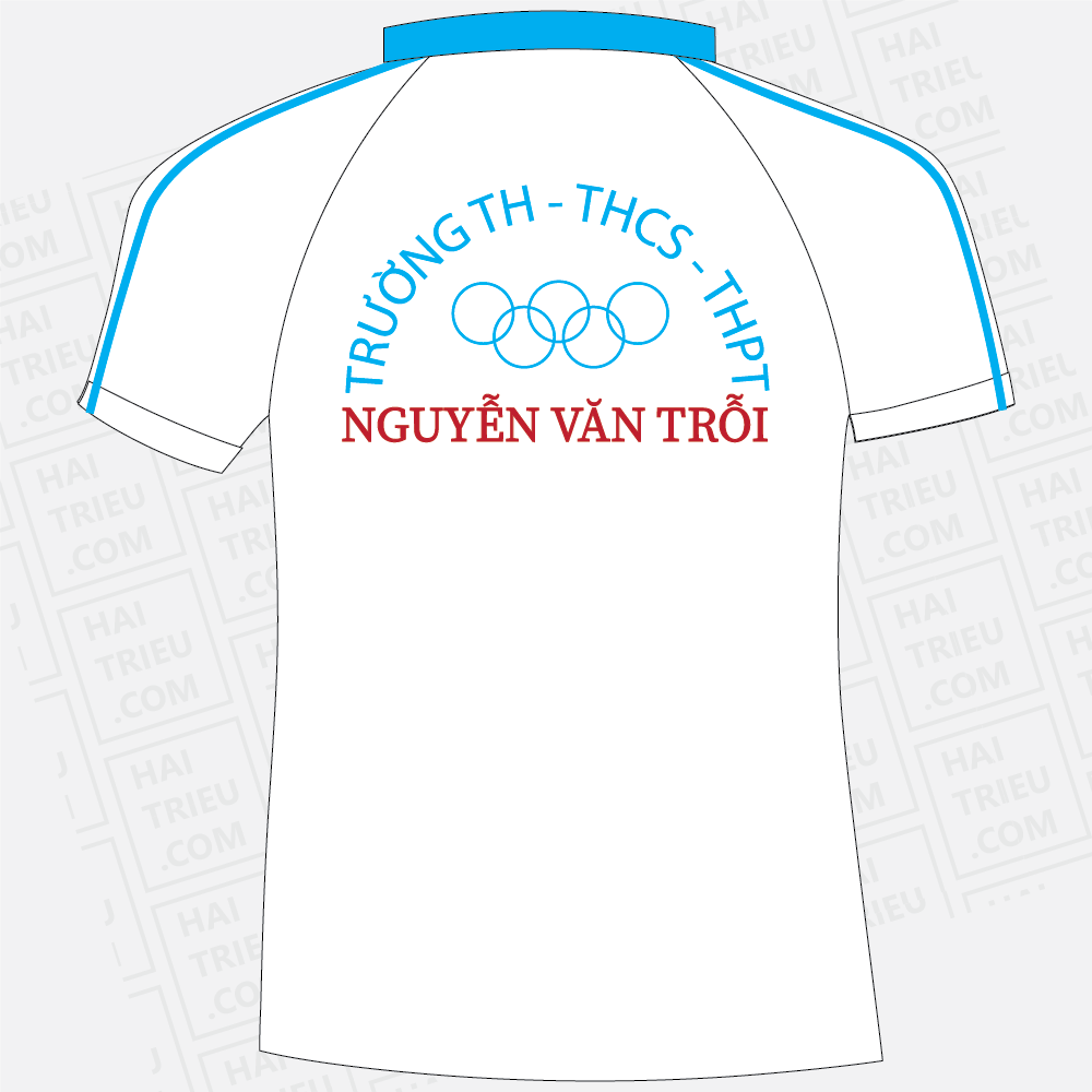 ao the duc truong th,thcs,thpt nguyen van troi