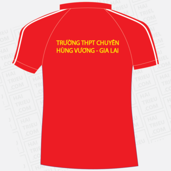 ao the duc truong thpt chuyen hung vuong