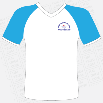 ao the duc truong thpt chuyen nguyen du