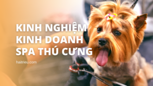 kinh nghiem kinh doanh spa thu cung cho meo