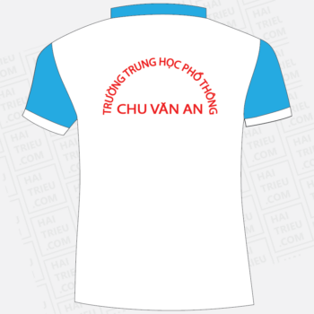 dong phuc hoc sinh truong thpt chu van an