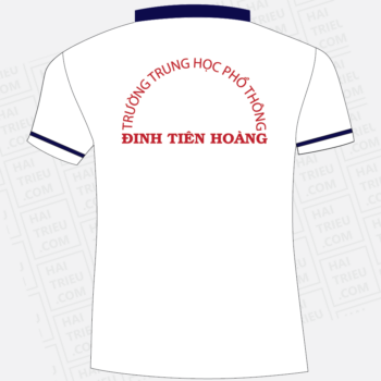 dong phuc hoc sinh truong thpt dinh tien hoang