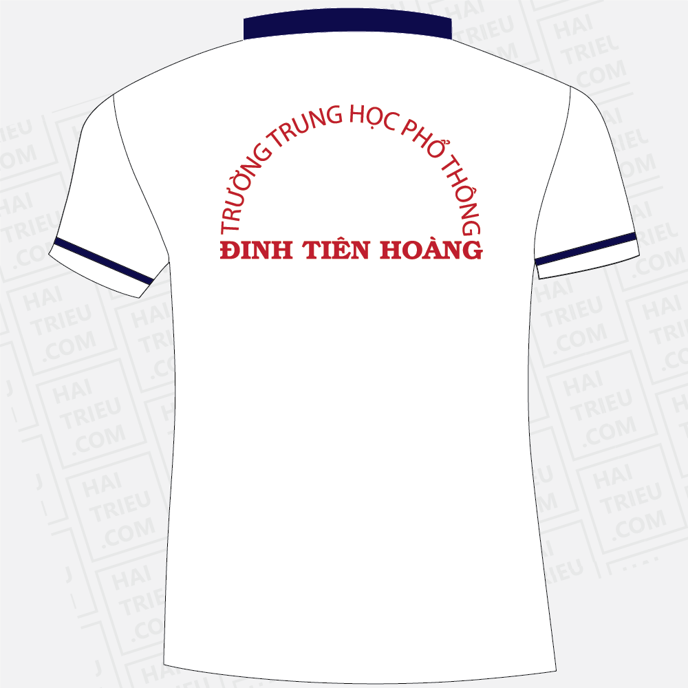 dong phuc hoc sinh truong thpt dinh tien hoang