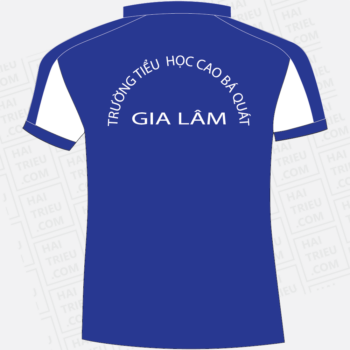 dong phuc hoc sinh truong tieu hoc cao ba quat