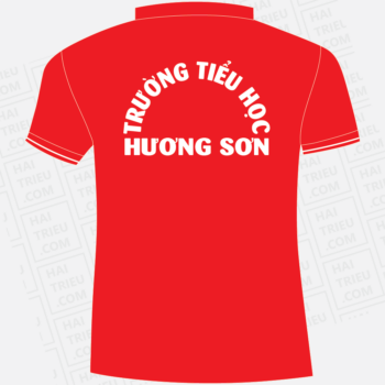dong phuc truong tieu hoc huong son