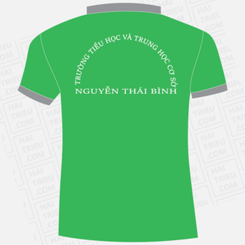 dong phuc truong tieu hoc va thcs nguyen thai binh