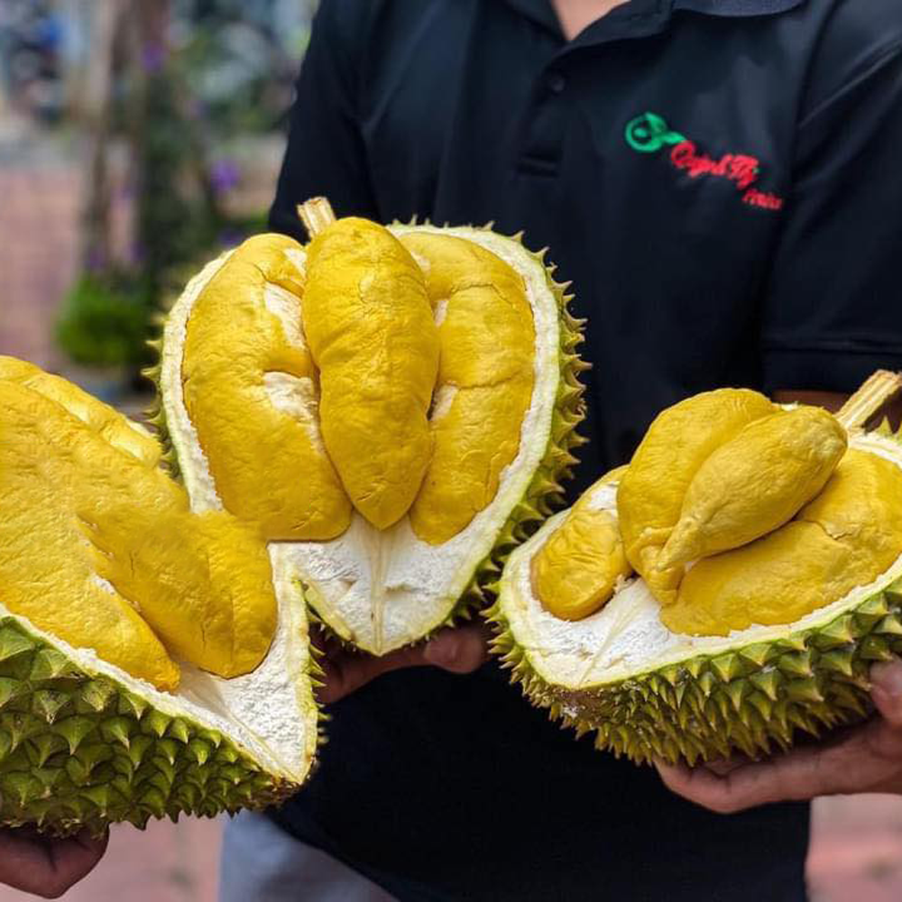 hinh anh dong phuc nhan vien quynh thj fruits & wines