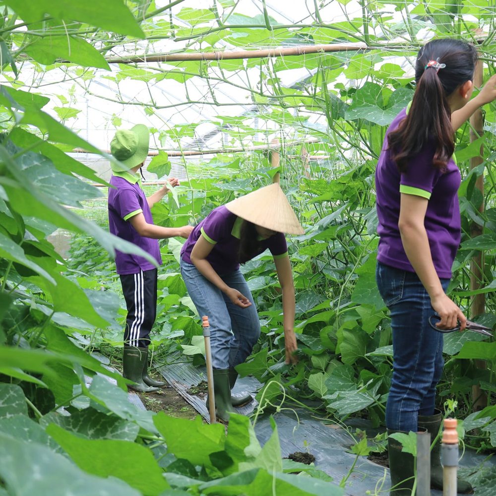 hinh anh dong phuc vinamit organics