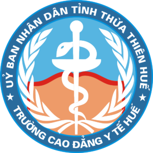 Logo Truong Cao Dang Y Te Hue