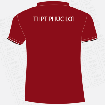 dong phuc hoc sinh truong thpt phuc loi