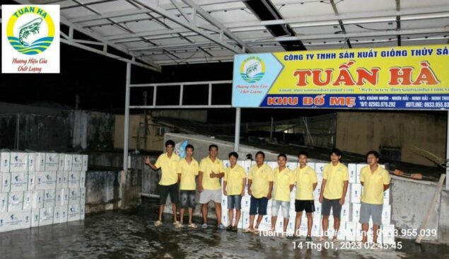 dong phuc nhan vien tom giong tuan ha