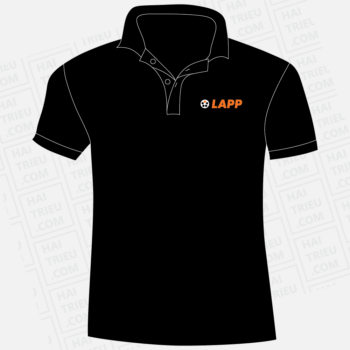 dong phuc lapp group