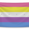 co song gioi (bigender alternative flag)