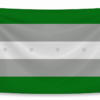 co tu hao cua nguoi ban vo ai (gray aromantic pride flag)