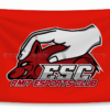 co esc - rmit esport club