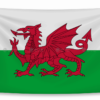 co xu wales