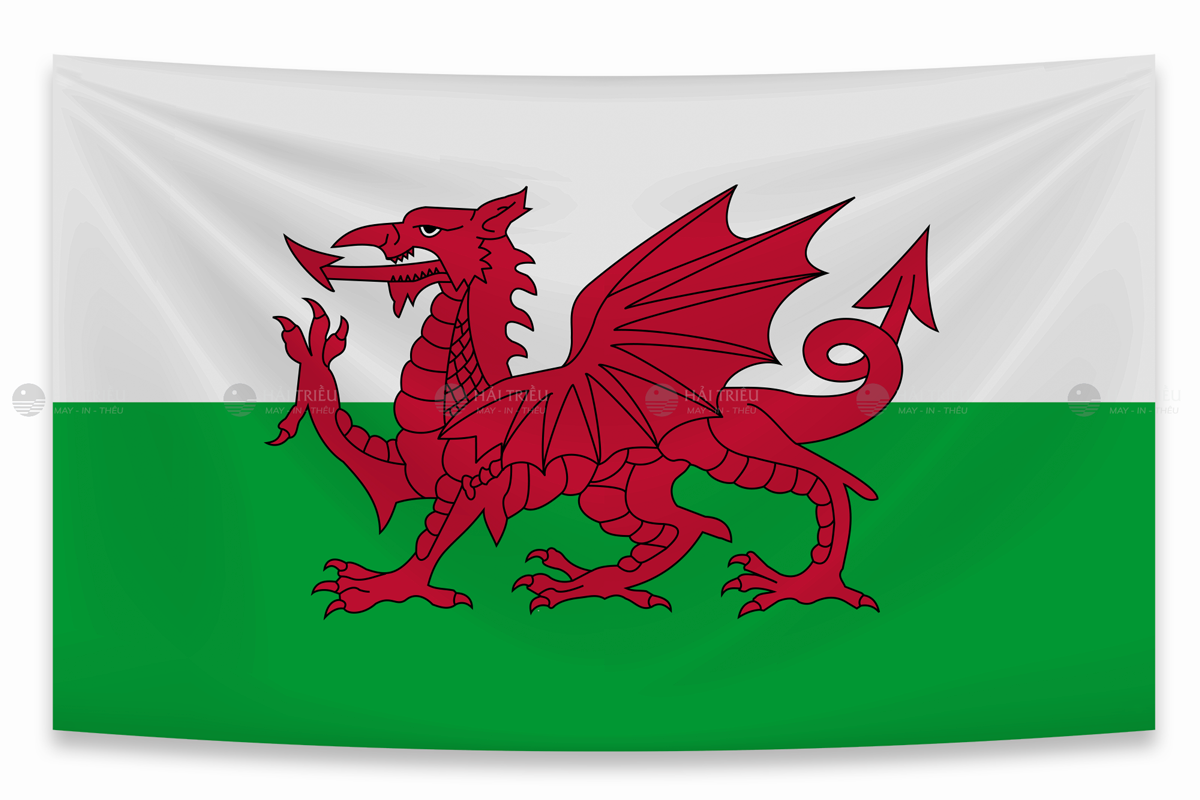 co xu wales