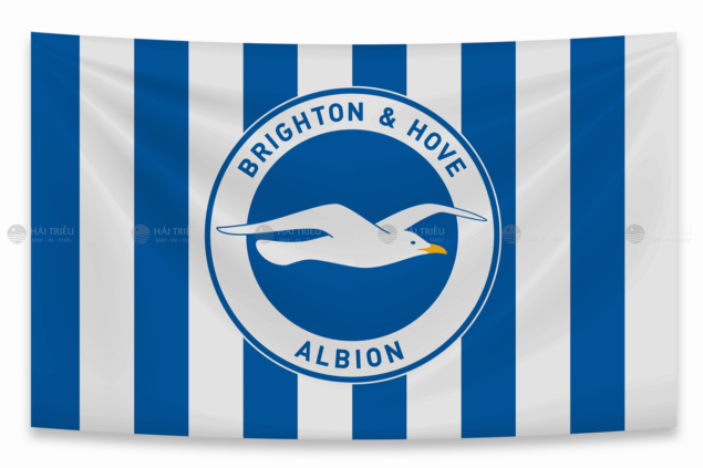 co co vu clb brighton 1