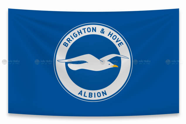 co co vu clb brighton 2