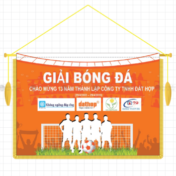 co luu niem giai bong da chao mung 13 nam thanh lap cong ty tnhh dat hop