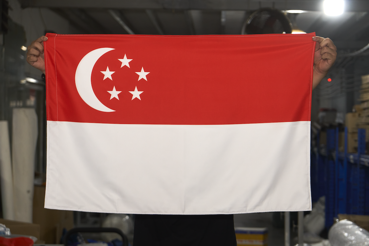 hinh anh thuc te la co singapore tai xuong hai trieu