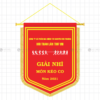 co luu niem cong ty co phan dia chinh tai nguyen moi truong hoi thao lan thu viii - giai nhi mon keo co